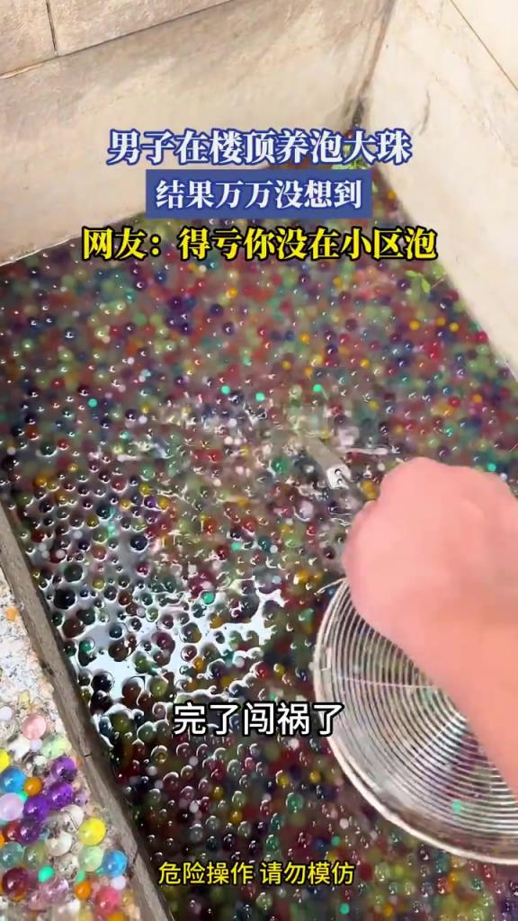 男子在樓頂養(yǎng)泡大珠，結(jié)果萬萬沒想到