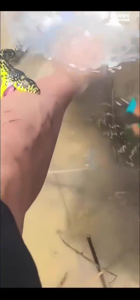钓鱼时碰到这种状况，接下来会怎样？