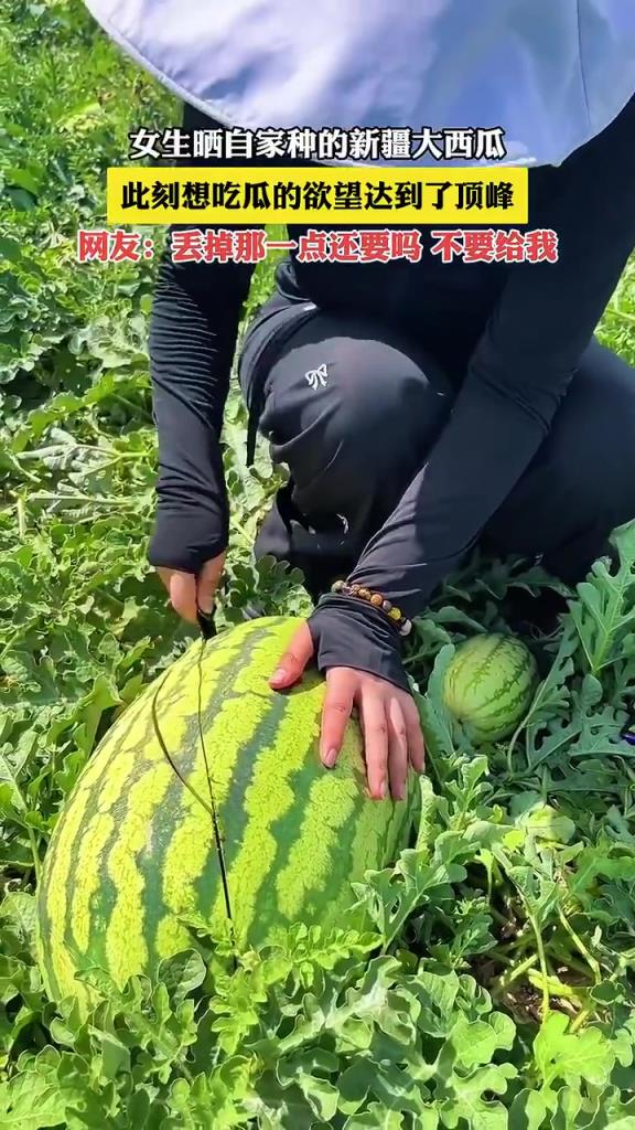 女生曬自家種的新疆大西瓜，此刻想吃瓜的欲望達到了頂峰！
