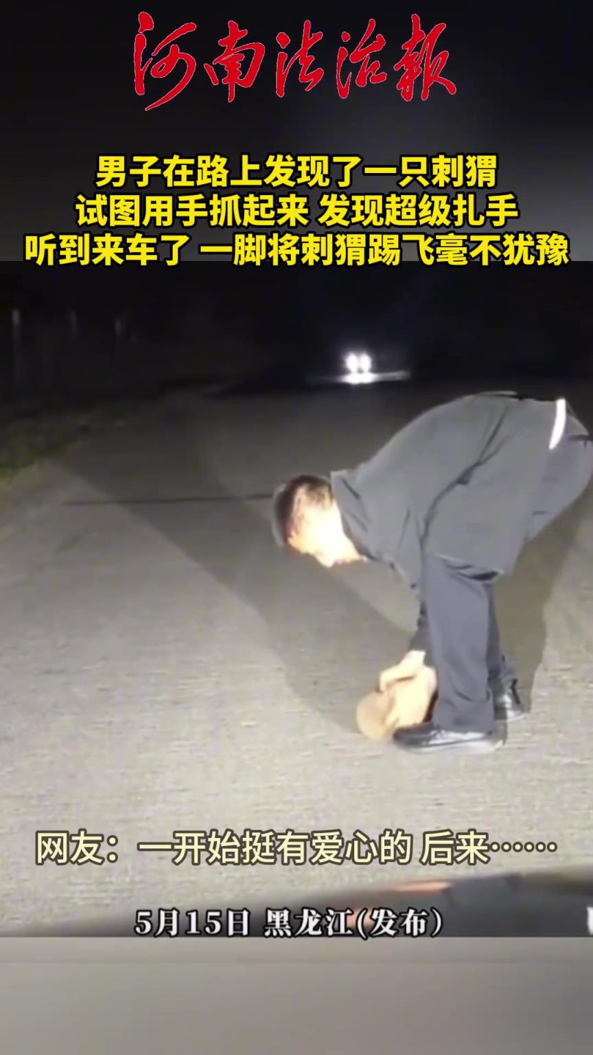 男子在路上发现了一只刺猬，试图用手抓起来！！