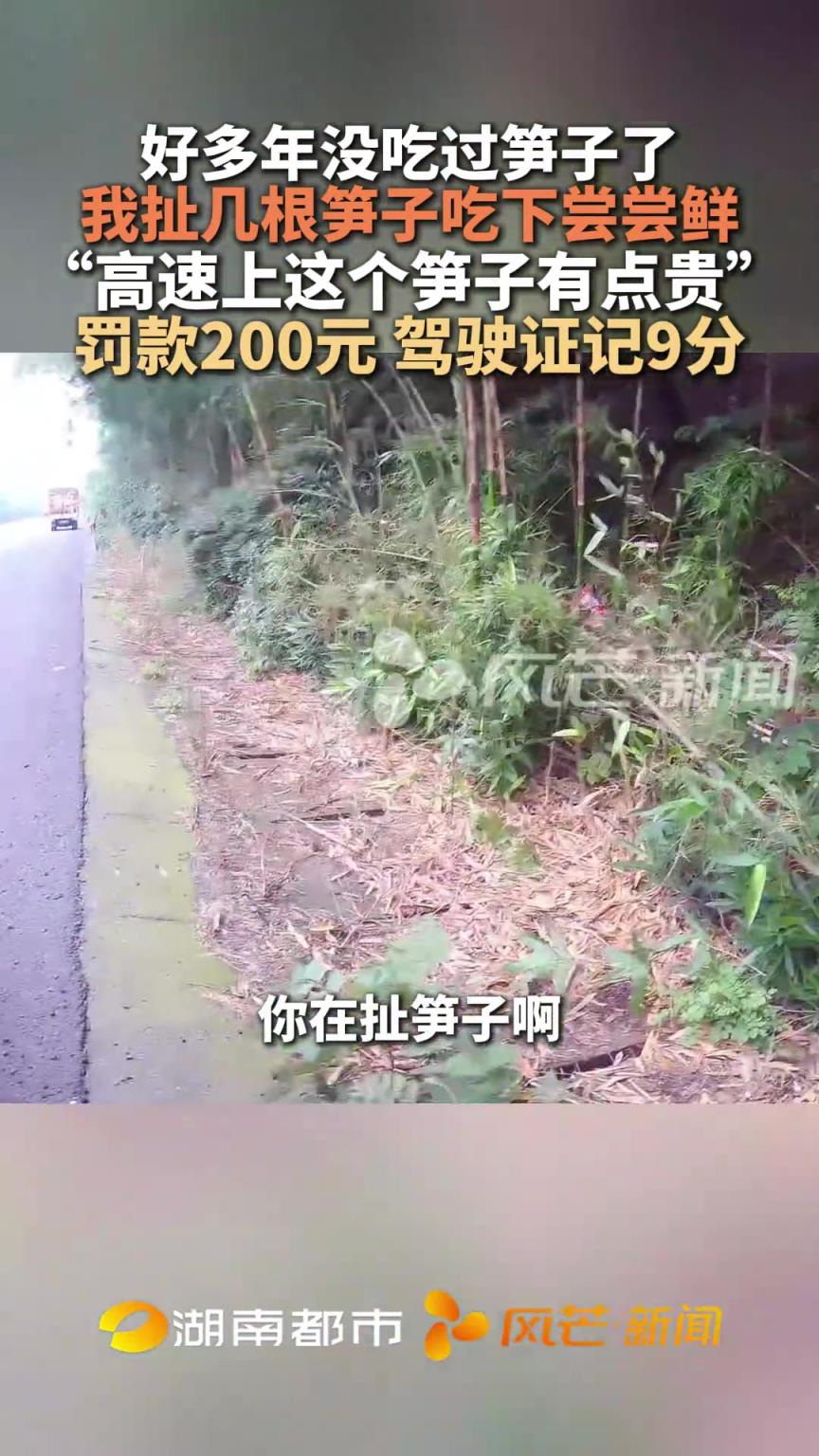 好多年没吃过笋子了，我扯几根笋子吃下尝尝鲜！