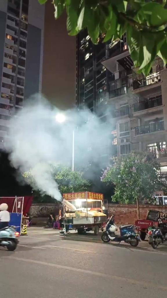 那么大的煙這是木炭燒烤還是木材燒烤？！
