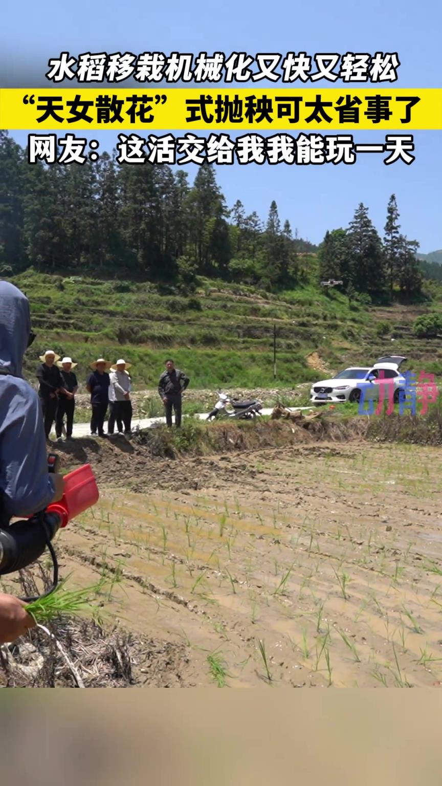 科技种田又快又轻松 “天女散花”式抛秧可太省事了