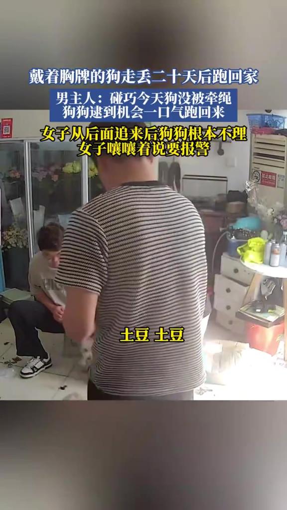 戴著胸牌的狗走丟二十天后跑回家，男主人：碰巧今天狗沒被牽繩