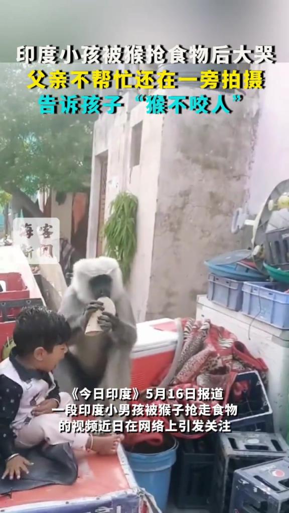 印度小孩被猴抢食物后大哭：父亲不帮忙还在一旁拍摄