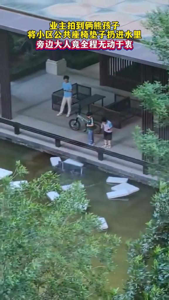 业主拍到两孩子将小区公共座椅垫子扔进水里，旁边大人竟无动于衷