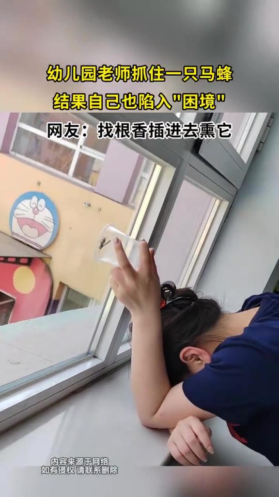 幼儿园老师抓住一只马蜂 结果自己也陷入困境