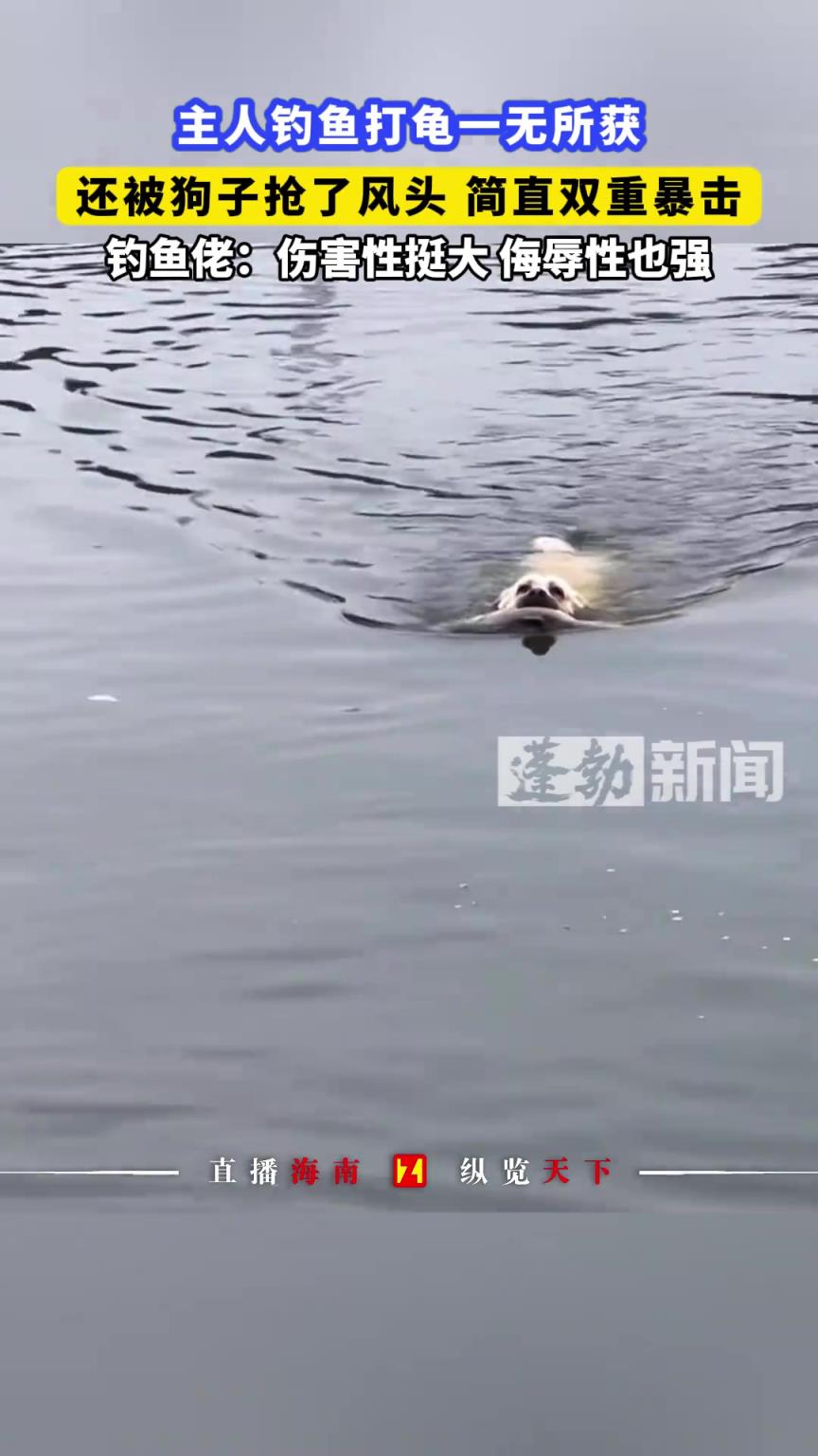 主人釣魚打龜一無所獲，還被狗子搶了風(fēng)頭 簡(jiǎn)直雙重暴擊