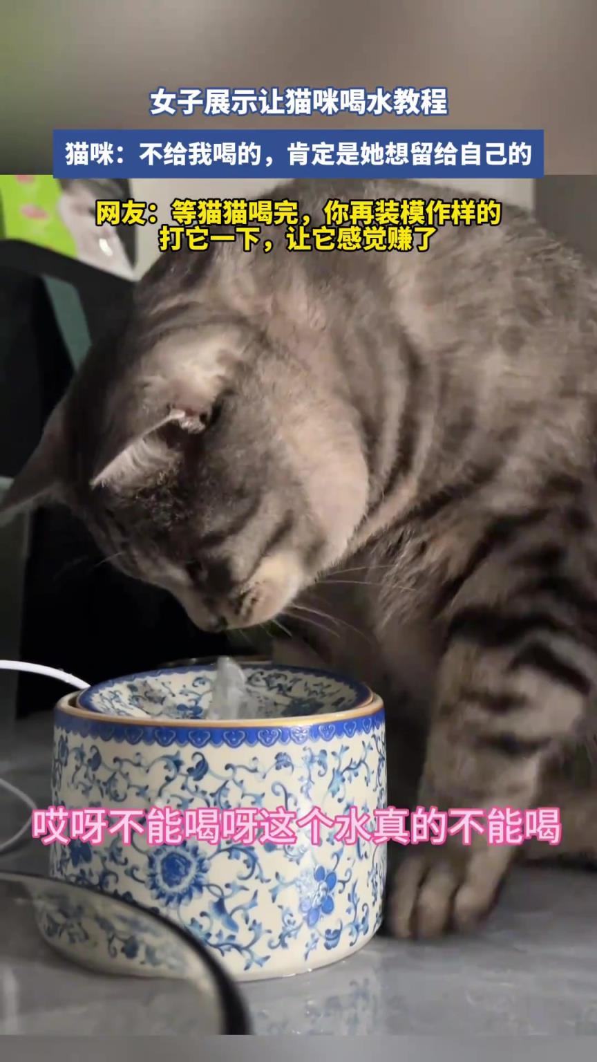 女子展示让猫咪喝水教程，太搞笑了！