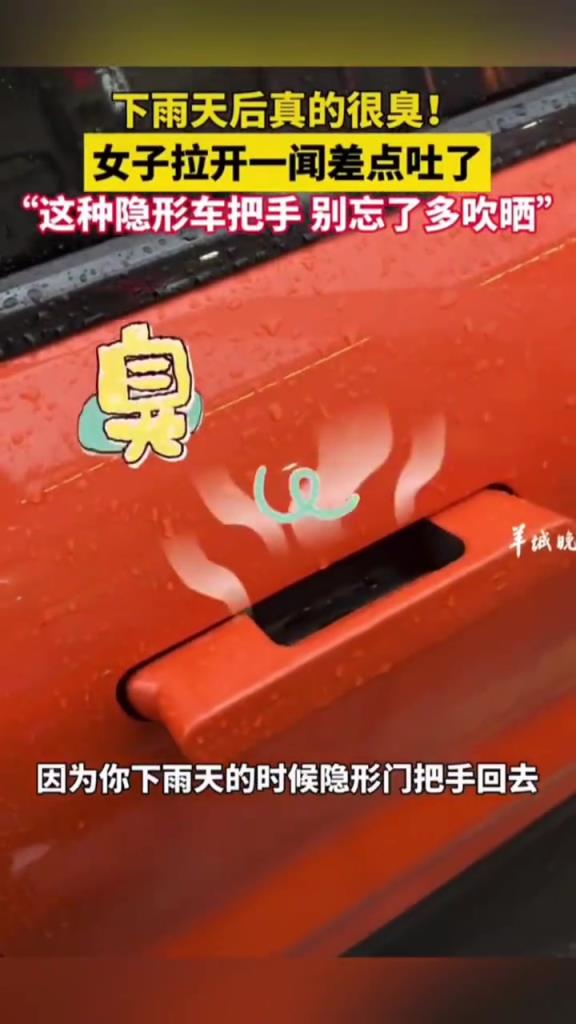 雨后隐藏车把手发臭，女子提醒：需多晾晒
