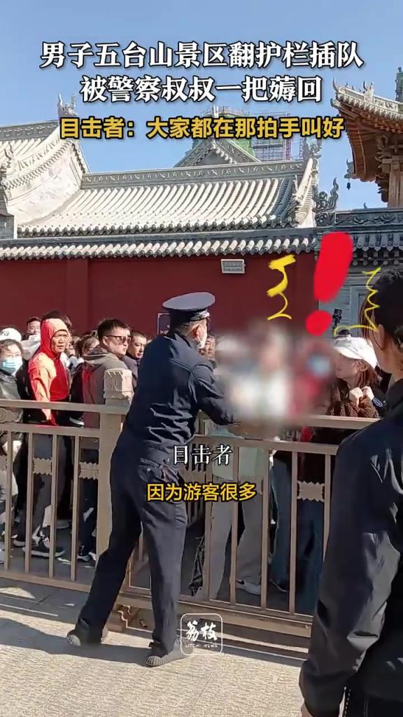 解气！ 男子翻护栏插队被警察叔叔一把薅回