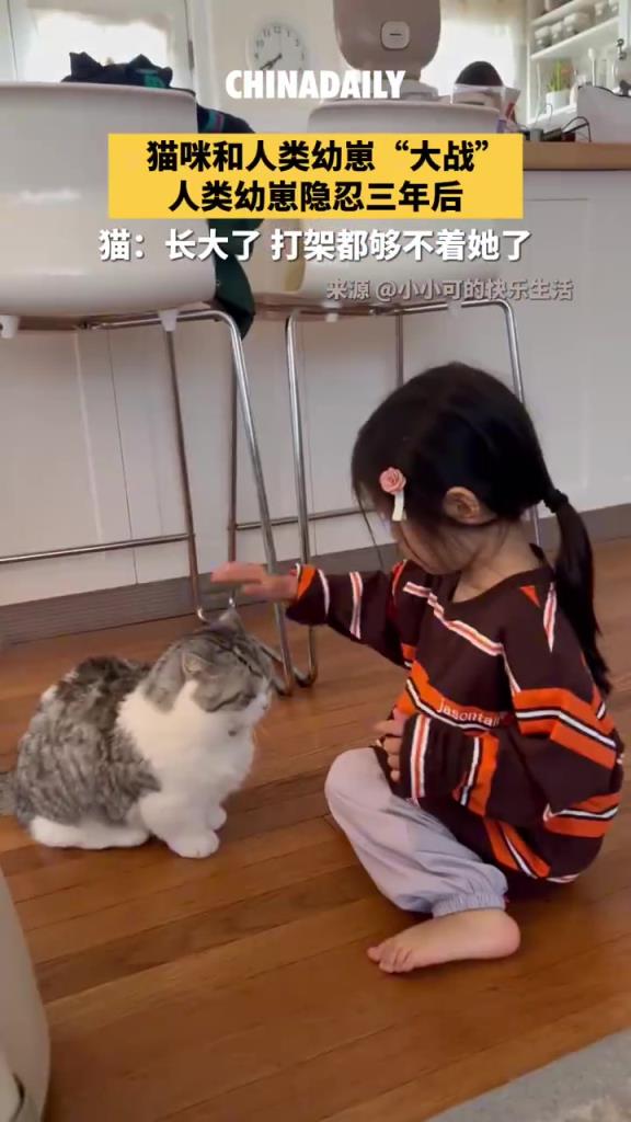 三年后女孩長高，貓貓 “夠不著” 顯反差萌