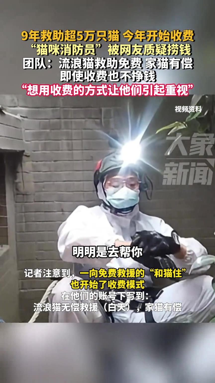 9年救助超5萬只貓 今年開始收費(fèi)，“貓咪消防員”被網(wǎng)友質(zhì)疑撈錢