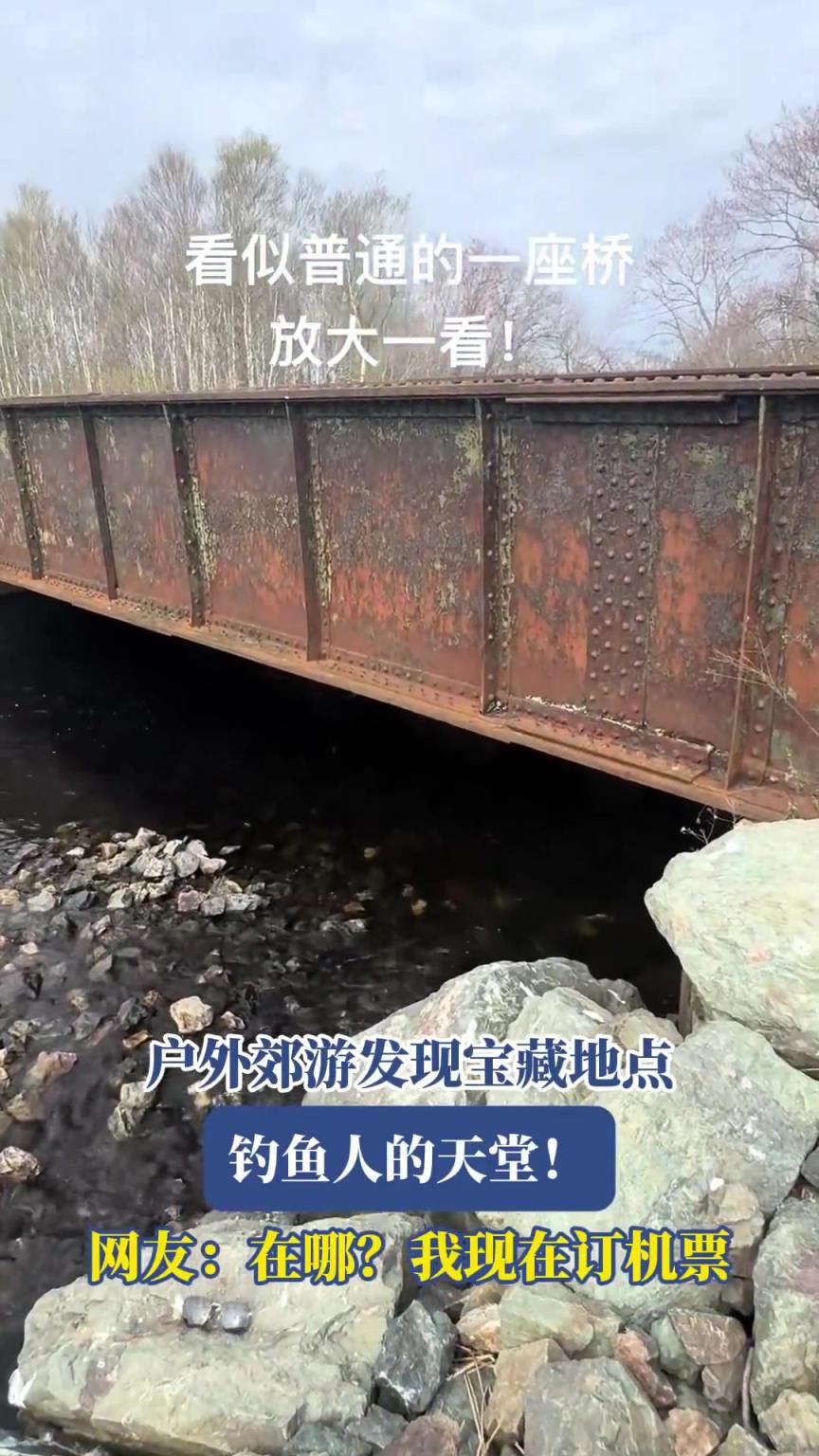 户外郊游发现宝藏地点，钓鱼人的天堂！网友：在哪？我现在订机票