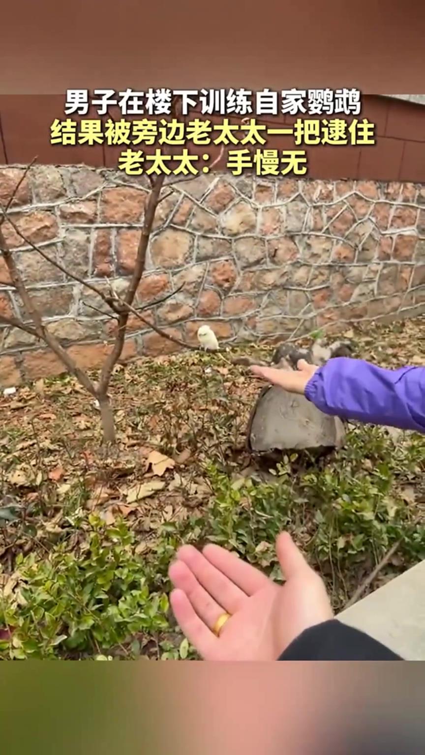 老太太：你的？我树上摘的，怎么就成你的了？