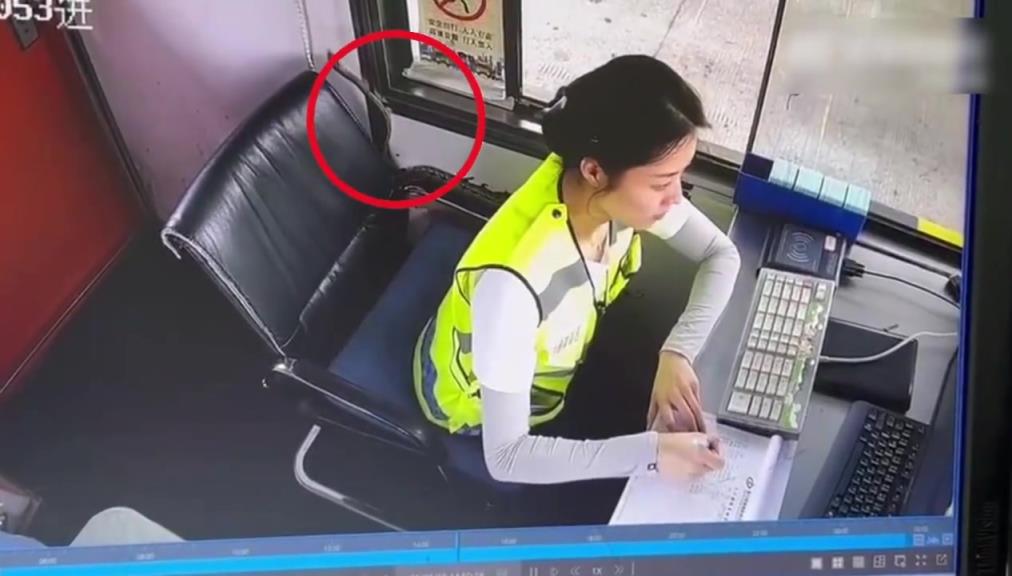 长蛇悄悄爬入高速收费站，收费员小姐姐吓得拔腿就跑