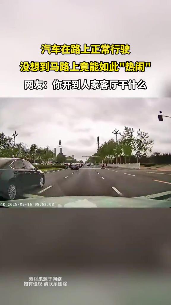 汽车在路上正常行驶 没想到马路上竟能如此热闹
