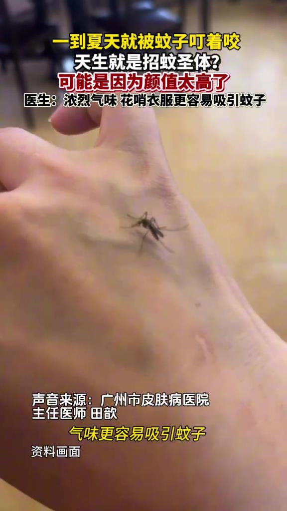 顏值高的人更招蚊子吸引是真的