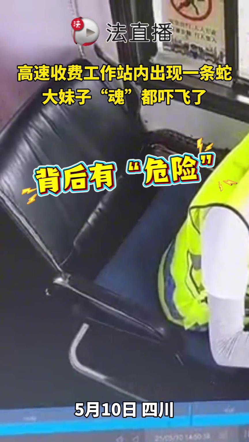 高速收費(fèi)工作站內(nèi)出現(xiàn)一條蛇，大妹子“魂”都嚇飛了
