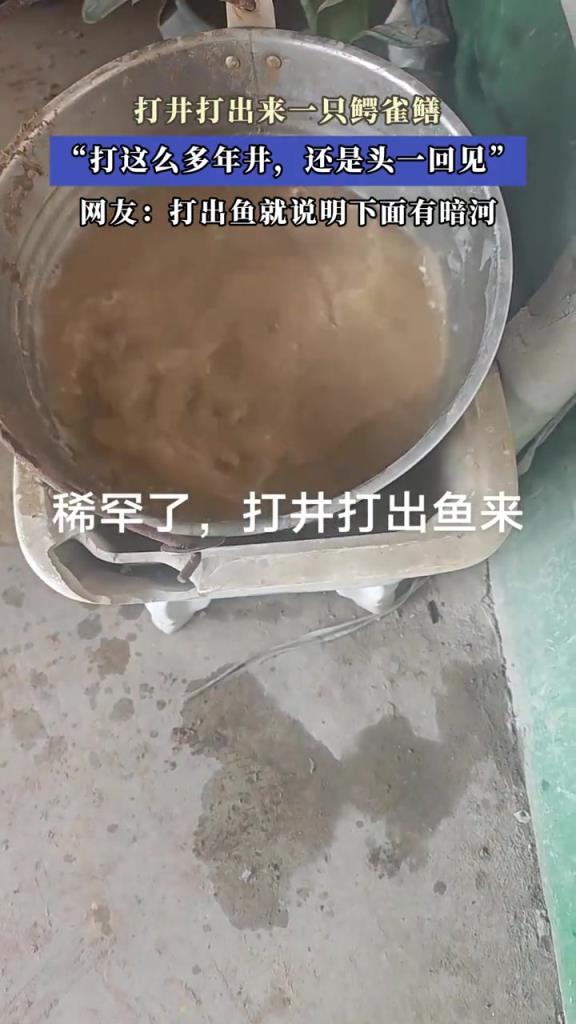 打這么多年井,還是頭一回見,打井打出來(lái)一只...