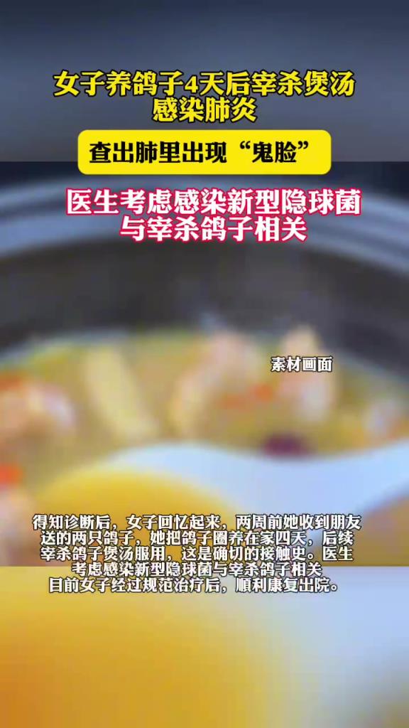女子養(yǎng)鴿子4天后宰殺煲湯感染肺炎 查出肺里出現(xiàn)“鬼臉”