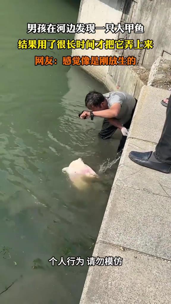 男孩河边捕获大甲鱼，耗时久终成功