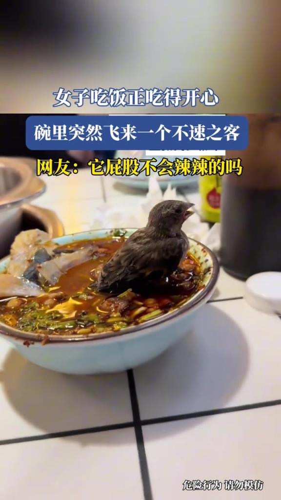 女子吃饭正吃得开心,碗里突然飞来一个不速之客!!!
