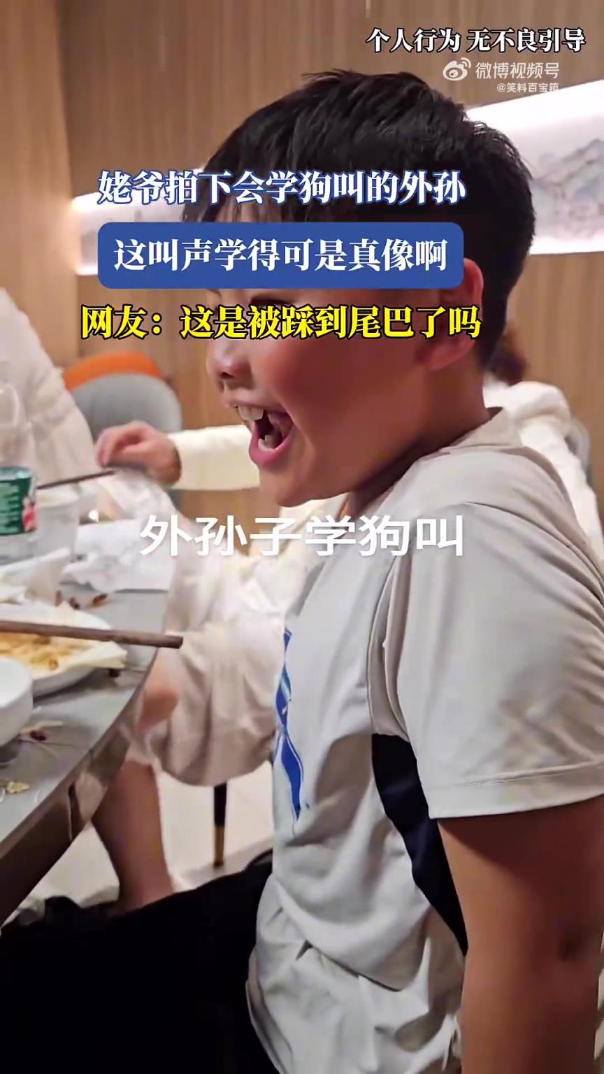 姥爷拍下会学狗叫的外孙，这叫声学得也太像了