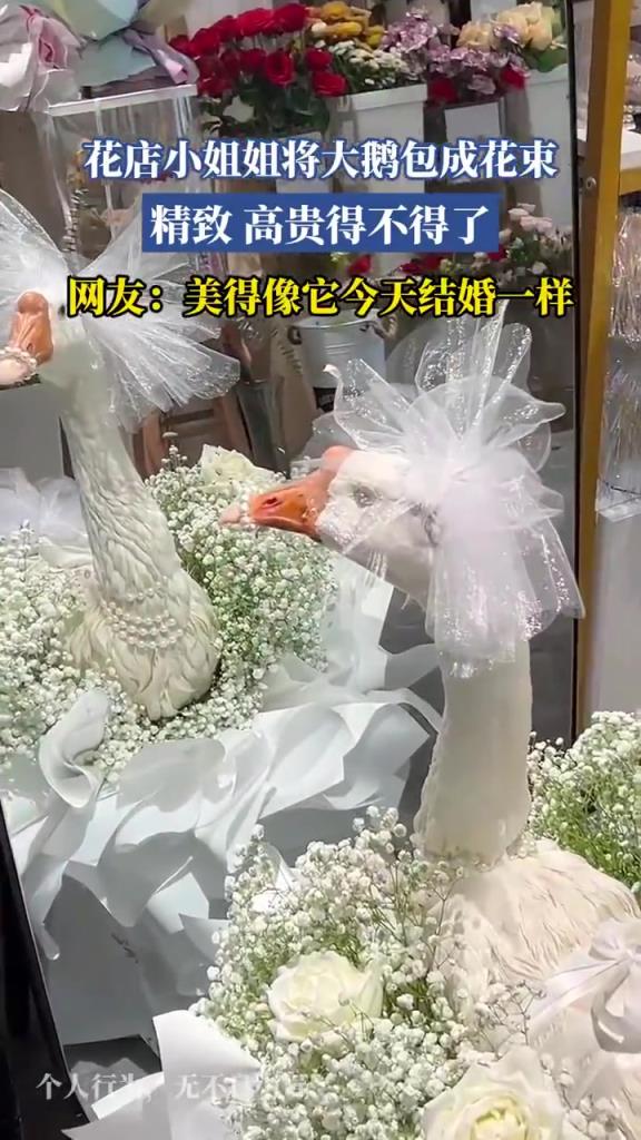 花店小姐姐将大鹅包成花束
