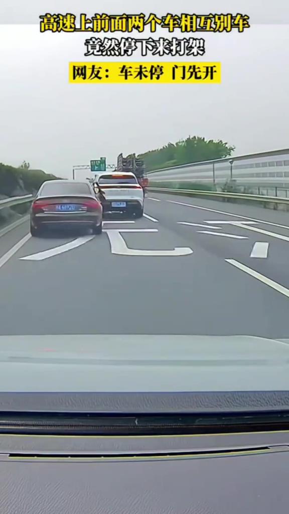 高速上前面两个车互相别车,竟然停下来打架!!!