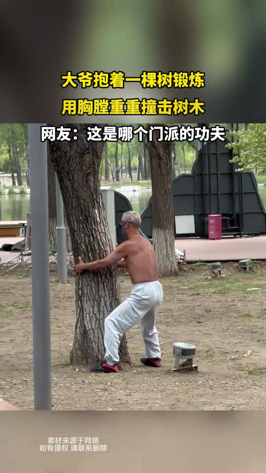 大爷抱着一棵树锻炼，用胸膛重重撞击树木