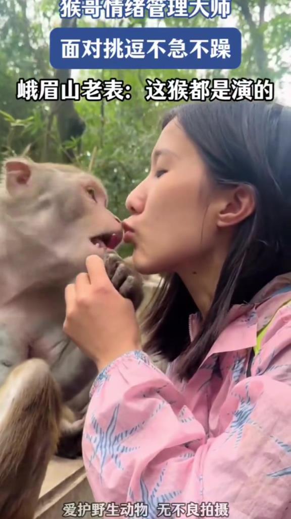 猴哥情绪管理大师,面对美女挑逗不急不躁!!!