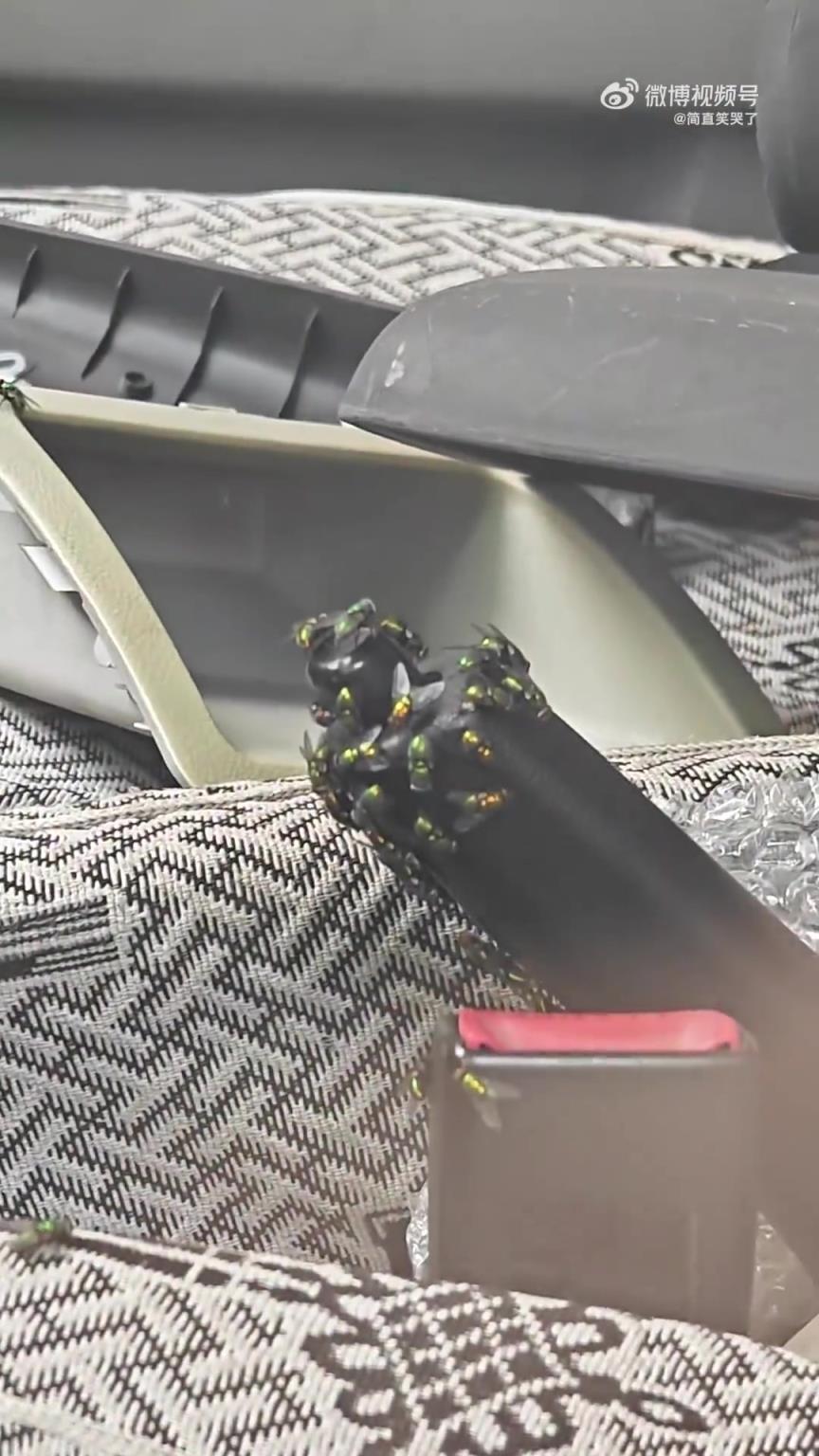 這車手剎是沾了啥？咋這么招綠頭蒼蠅？