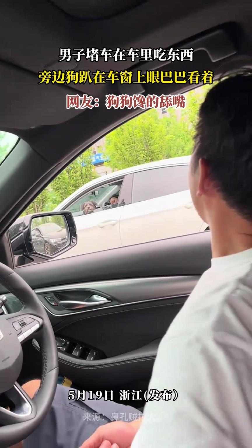 男子堵车在车里吃东西，旁边狗趴在车窗上眼巴巴看着