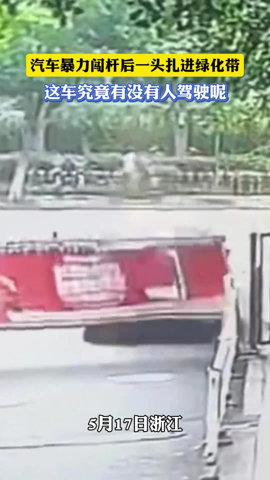 汽車暴力闖桿后一頭扎進綠化帶