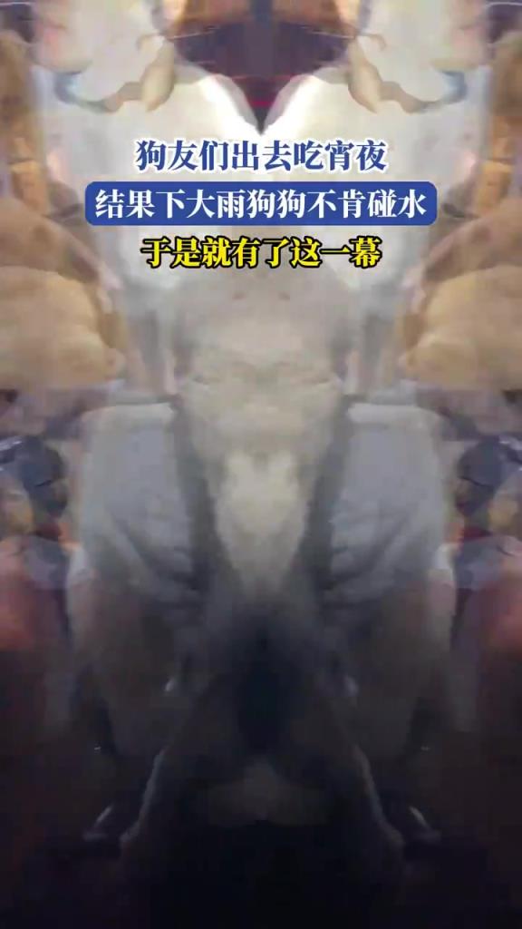 雨夜吃宵夜遇狗狗拒水，主人 “花式” 寵狗