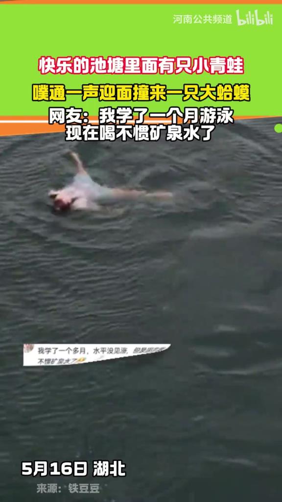 快乐的池塘里面有只小青蛙 噗通一声迎面撞来一只大蛤蟆