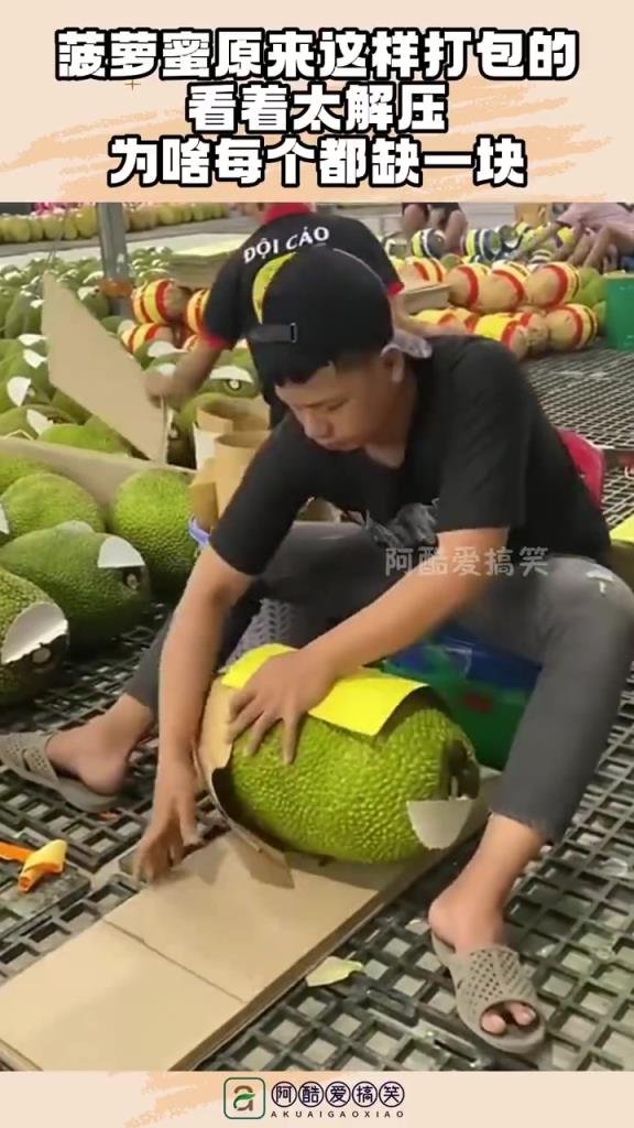 菠萝蜜原来这样打包的