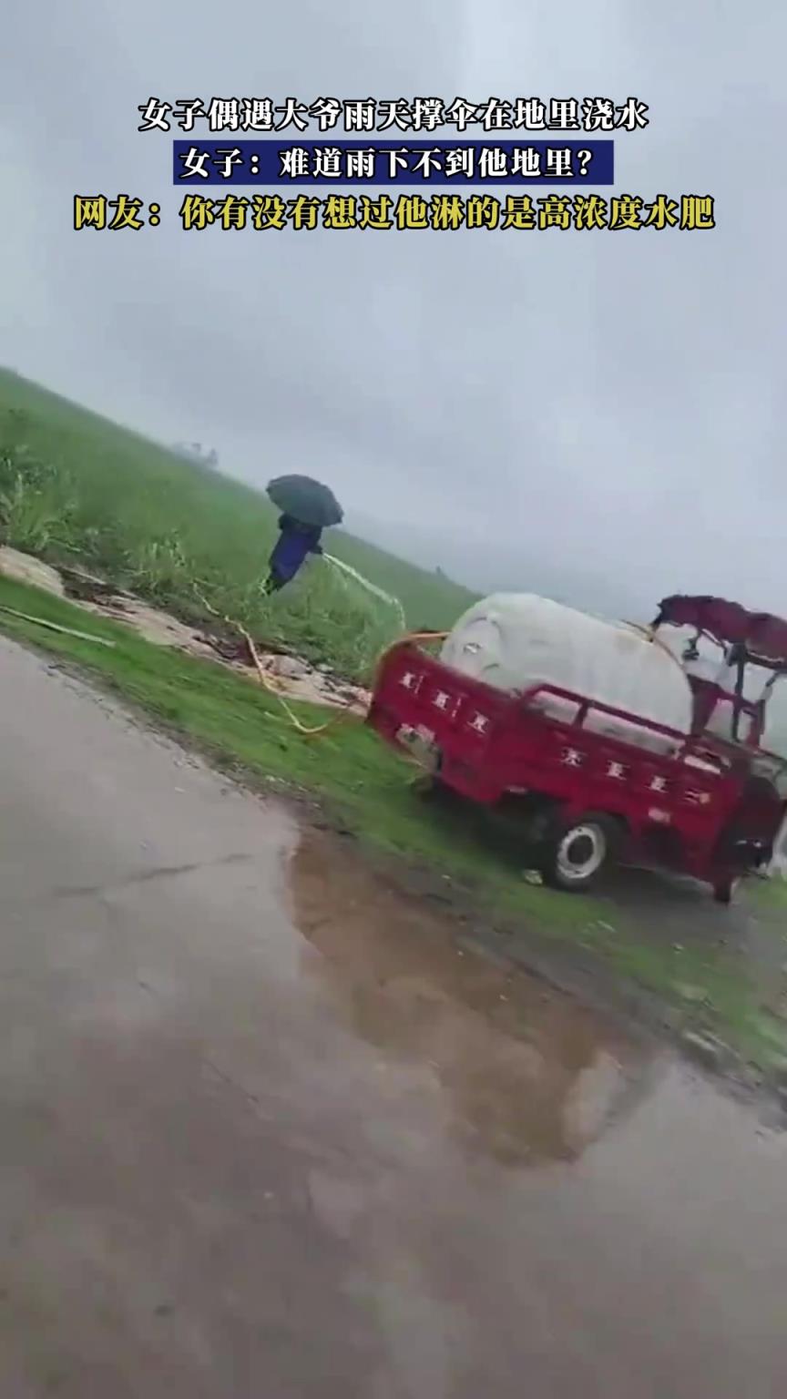 女子偶遇大爷雨天撑伞在地里浇水，女子：难道雨下不到他地里？