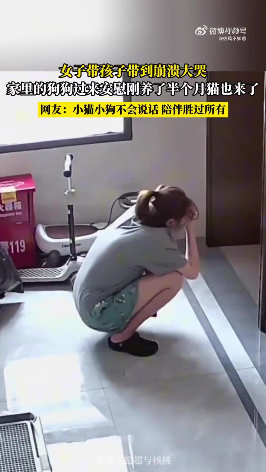 女子带孩子带到崩溃大哭，家里的狗狗过来安慰！！