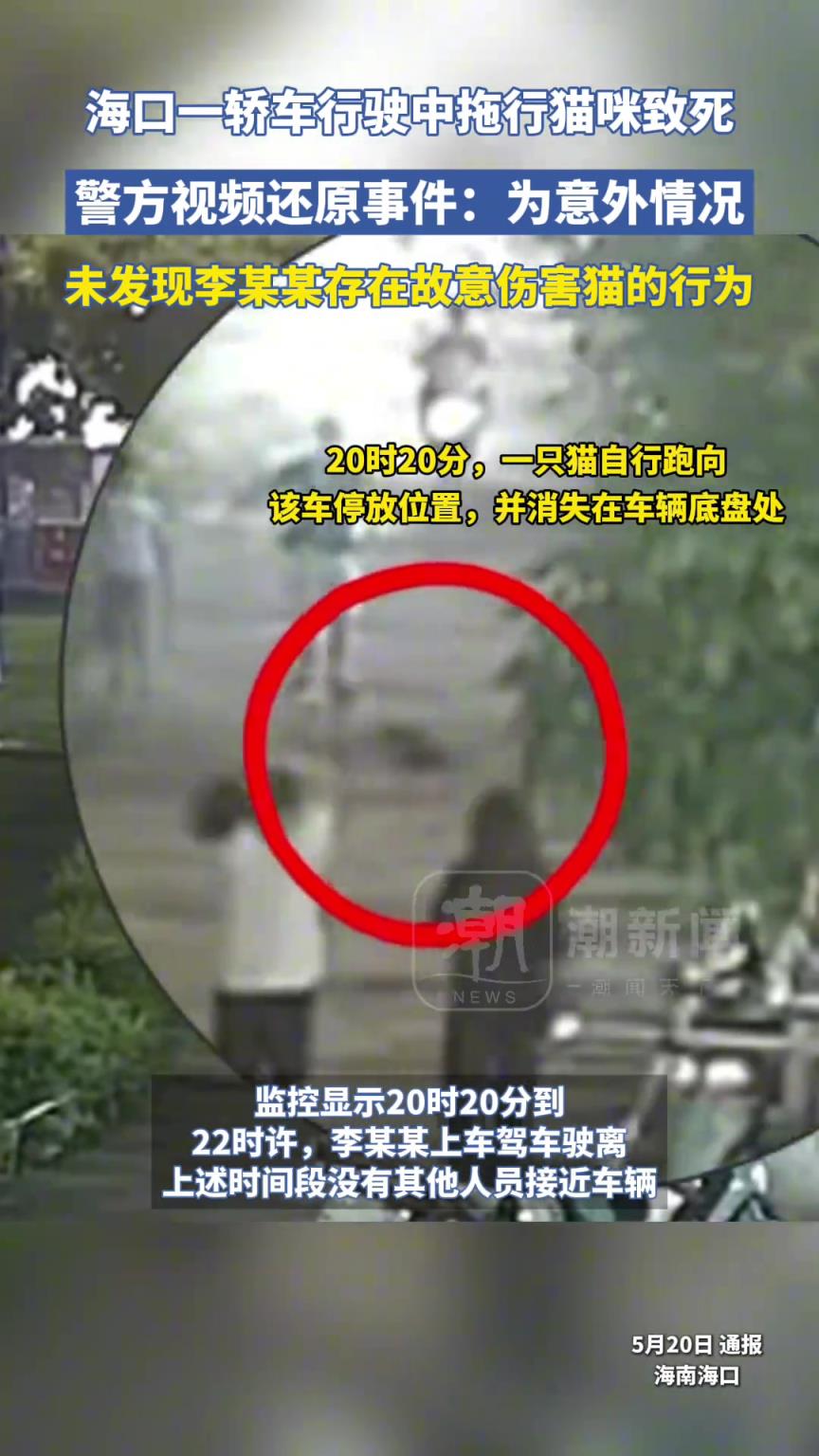 海口警方通报网传“宝马车拖行小猫致死”：为意外情况