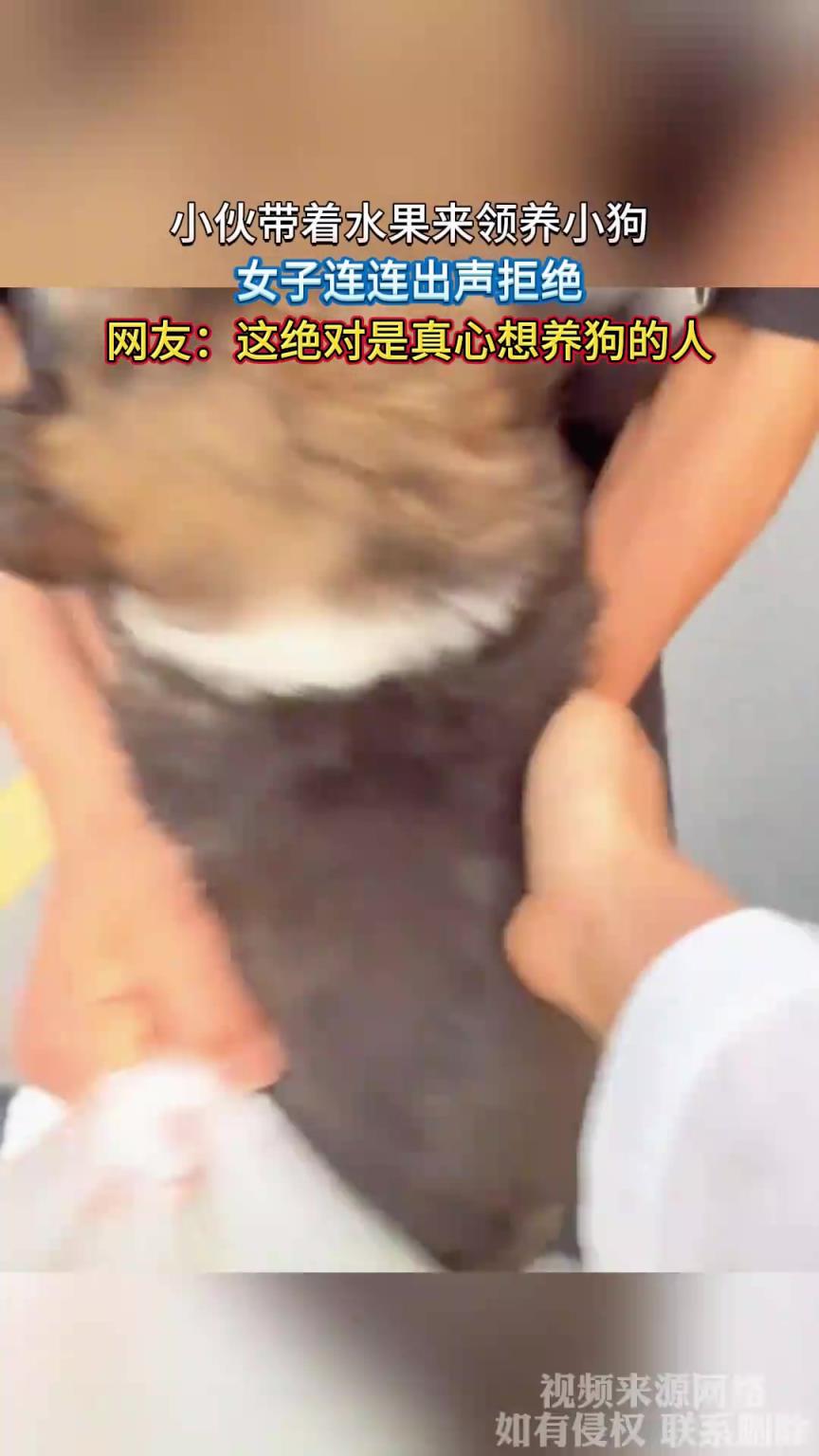 小伙带着水果来领养小狗，女子连连出声拒绝