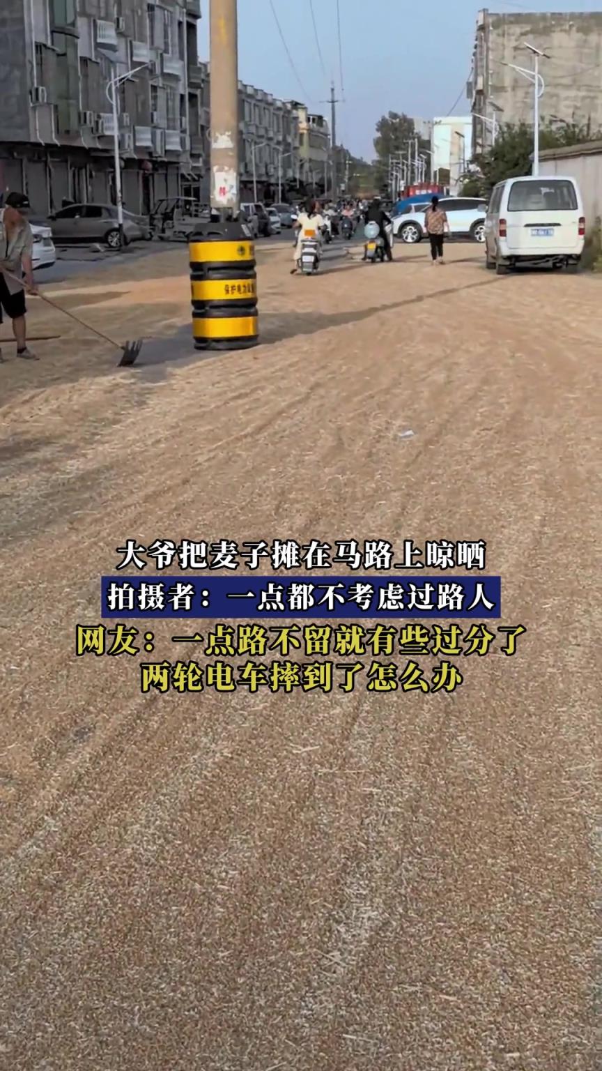 大爷把麦子摊在马路上晾晒，拍摄者：一点都不考虑过路人