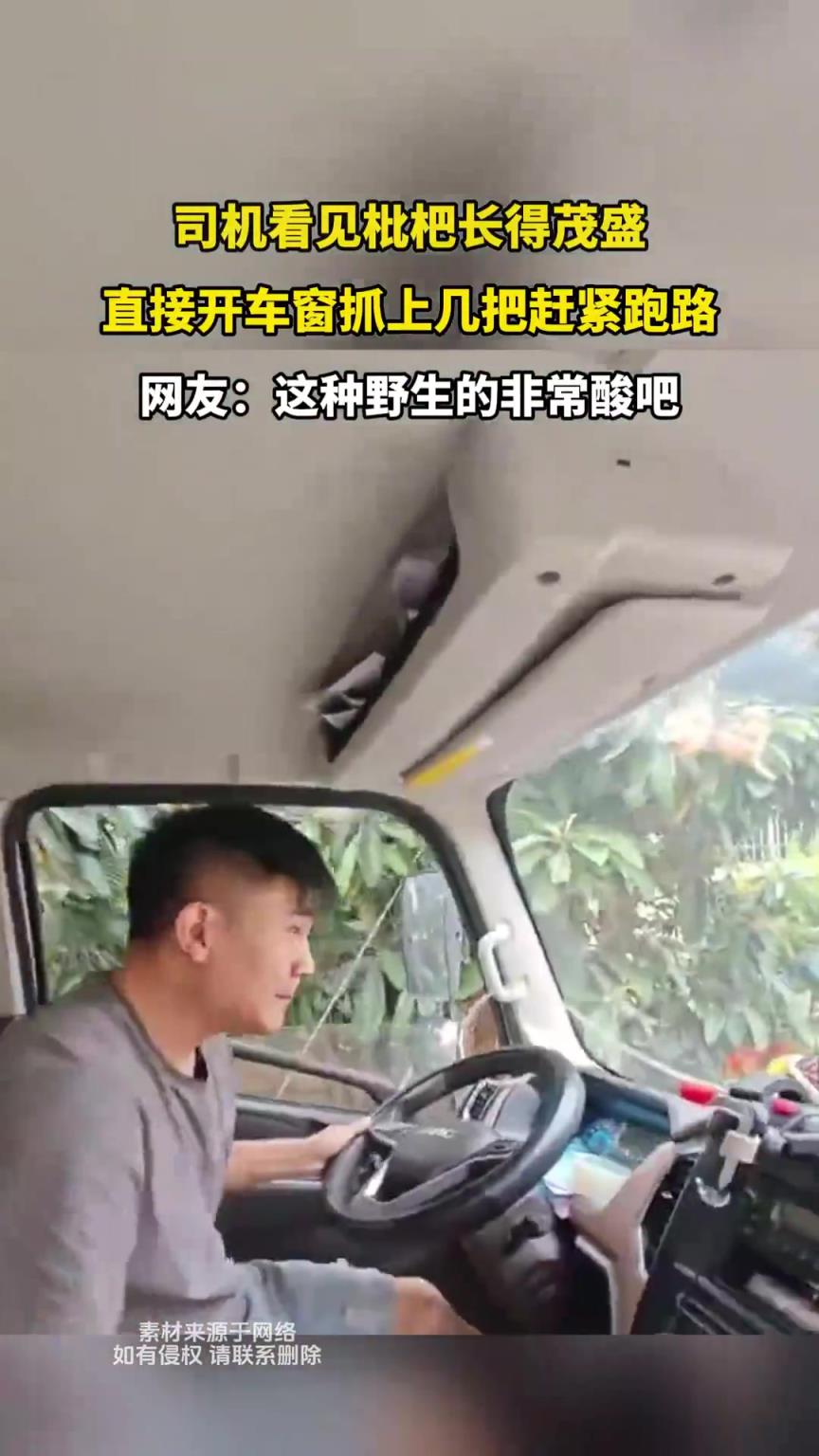 司机看见枇杷长得茂盛，直接开车窗抓上几把赶紧跑路！！