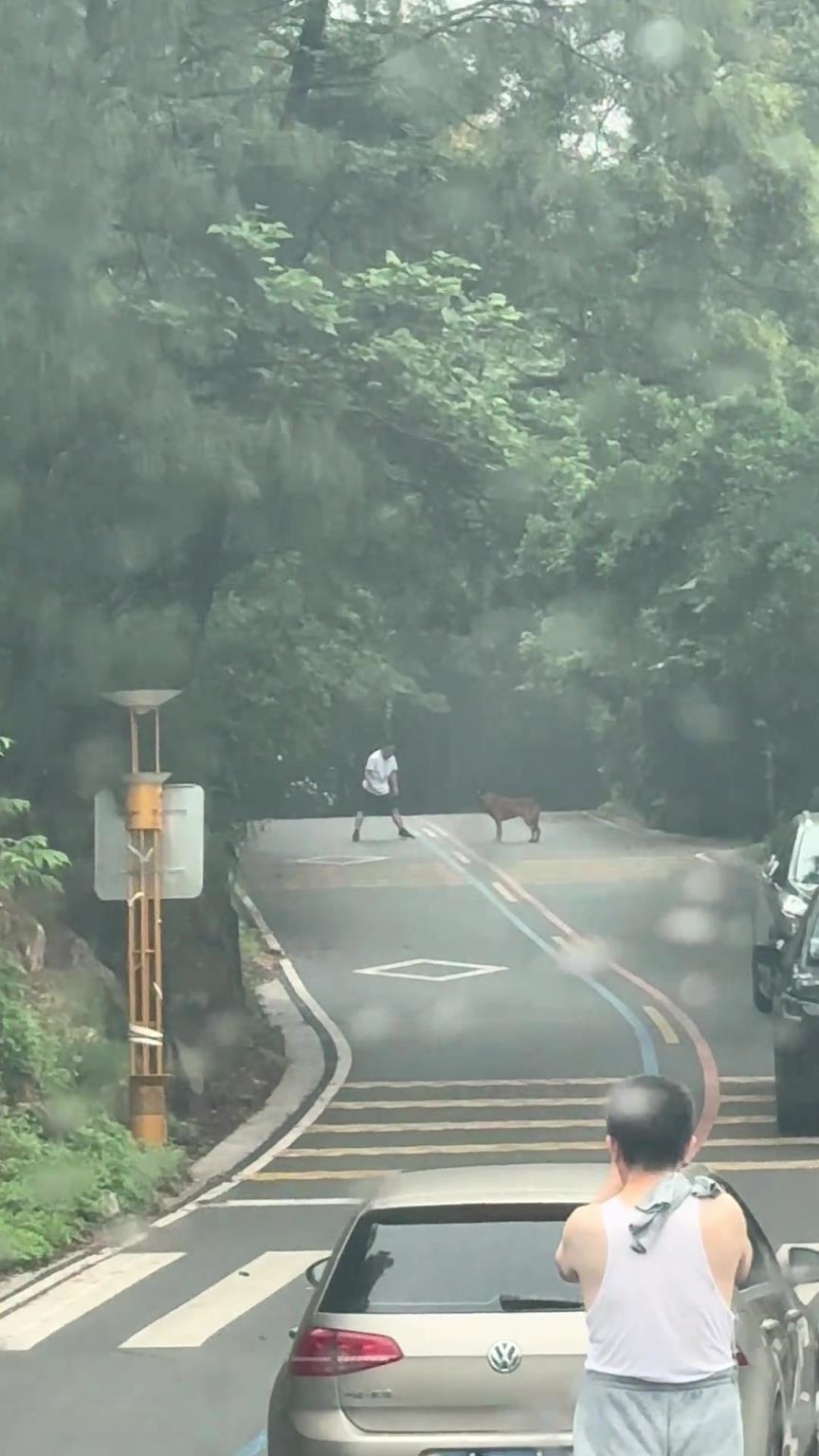 這時候開車過去按喇叭它會跑嗎？