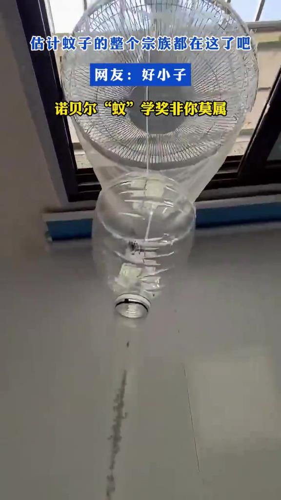 估计蚊子的整个宗族都在这了吧！