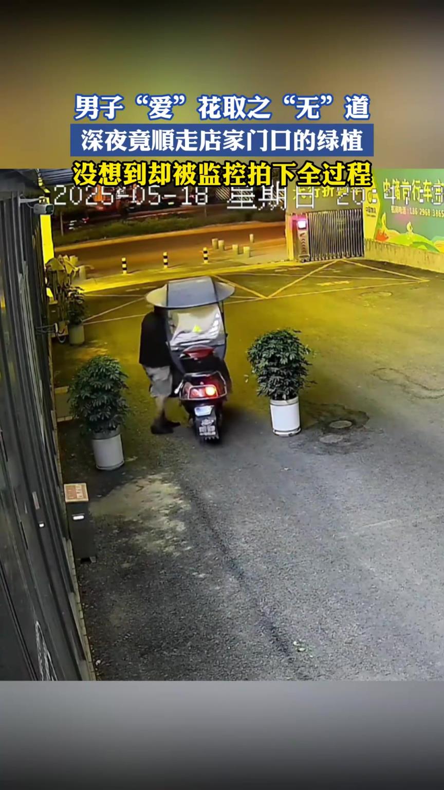 男子“爱”花取之“无”道，深夜竟顺走店家门口的绿植