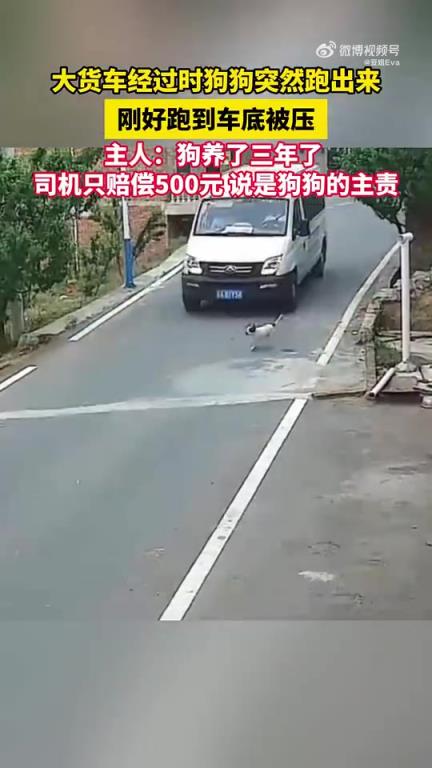 大貨車旁狗狗突竄入車底被壓，主人稱司機僅賠500元