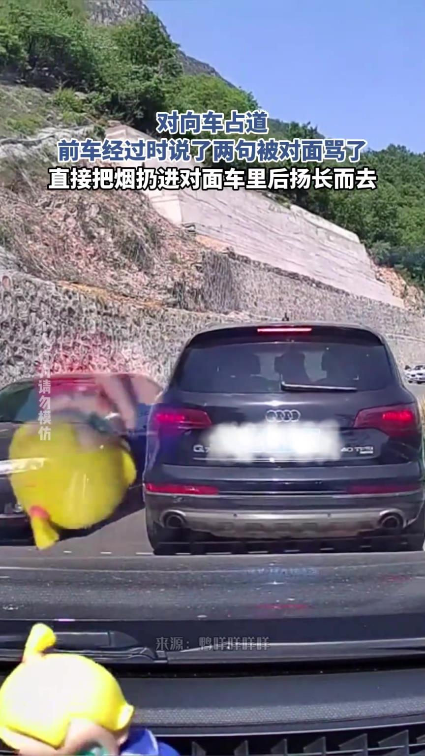 對向車占道，前車經過時說了兩句被對面罵了直接把煙扔進對面車