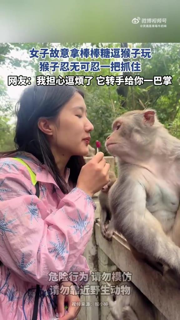 女子逗猴遭 “反搶”，棒棒糖被奪引笑